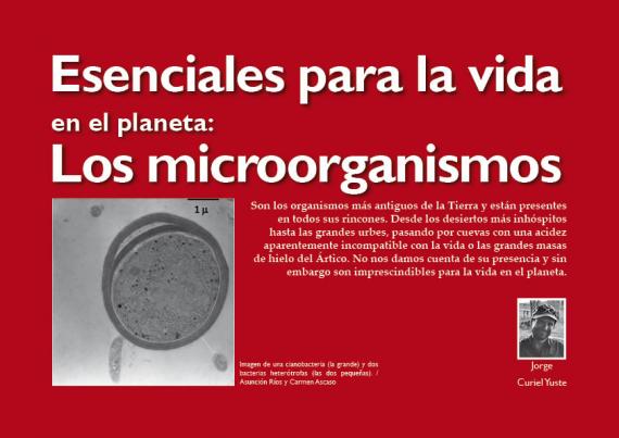 Portada del artículo Esenciales para la vida en el planeta: Los microorganismos de NaturalMente 06