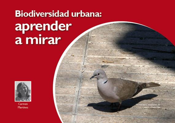 Portada del artículo Biodiversidad urbana: aprender a mirar de NaturalMente 06