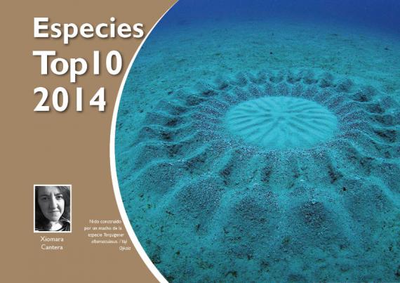 Portada del artículo Especies Top10 2014 de NaturalMente 06