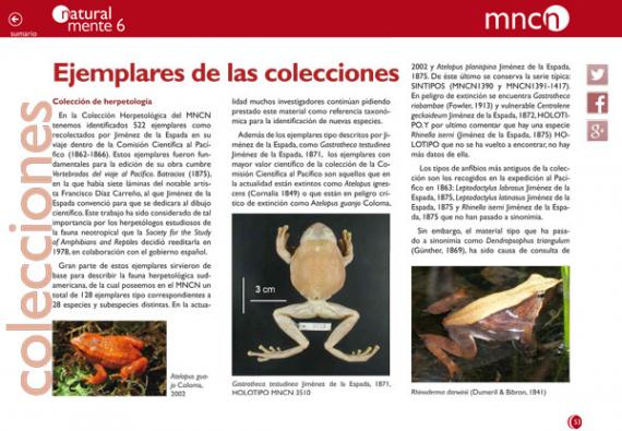 Portada del artículo Ejemplares de las colecciones de NaturalMente 06