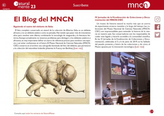 Blog del MNCN 