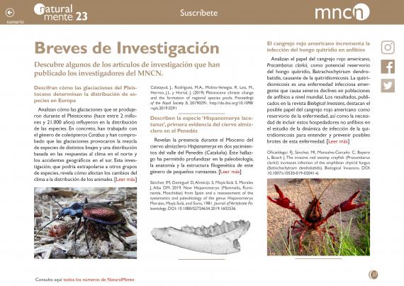 Breves de investigación nm23