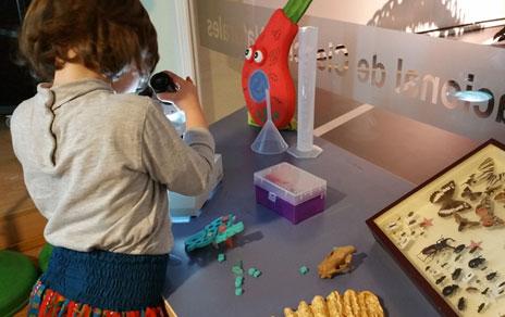 El MNCN se vuelca con la celebración del Día Internacional de la Mujer y la Niña en la Ciencia El MNCN se vuelca con la celebración del Día Internacional de la Mujer y la Niña en la Ciencia