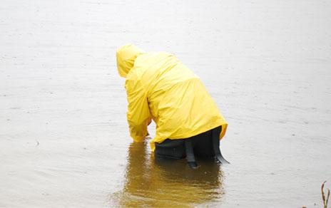 Estudian la presencia de elementos tecnológicamente críticos en el medioambiente