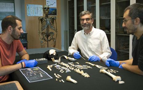 Reconstruyen cómo crecían los neandertales a partir de fósiles del yacimiento de El Sidrón