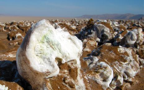 Investigadores del MNCN descubren la presencia de microalgas en el desierto de Atacama