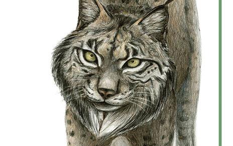 Arranca la sexta edición de Illustraciencia un certamen internacional que premia las mejores obras científicas y de naturaleza Arranca la sexta edición de Illustraciencia un certamen internacional que premia las mejores obras científicas y de naturaleza