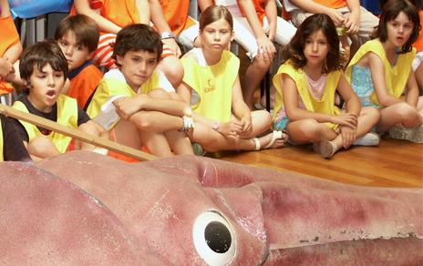 El MNCN abre el plazo de inscripción en su campamento urbano El MNCN abre el plazo de inscripción en su campamento urbano