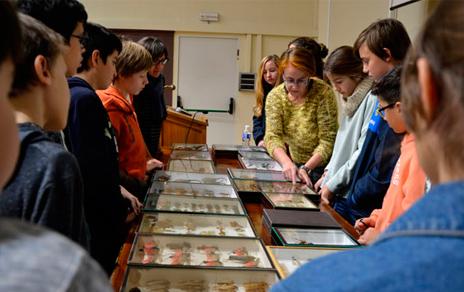 El MNCN hará gala de sus colecciones en la Semana de la Ciencia y la Tecnología