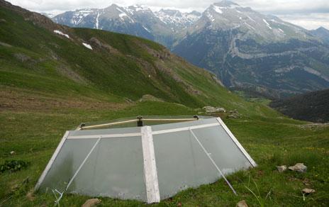 Las interacciones entre especies influyen en la respuesta de las plantas al cambio climático