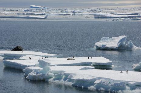 La tibieza del lenguaje del IPCC puede retrasar la acción política contra el cambio climático