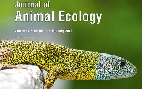 La tolerancia térmica de las especies es un factor clave para determinar su futura distribución ante el cambio climático