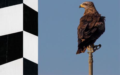 El MNCN inaugura la muestra Antropoceno. Arte y Biodiversidad en Escenarios Periurbanos