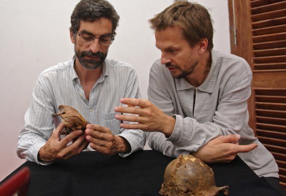 Una investigación del MNCN concluye que la capacidad olfativa de los primeros Homo sapiens era evolutivamente superior a la de sus antepasados Una investigación del MNCN concluye que la capacidad olfativa de los primeros Homo sapiens era evolutivamente superior a la de sus antepasados