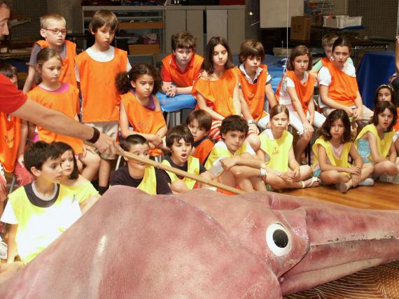 El Museo de Verano comienza el próximo lunes 2 de julio El Museo de Verano comienza el próximo lunes 2 de julio