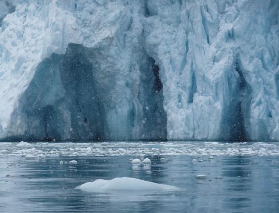 El efecto de las glaciaciones del pasado sobre la biodiversidad