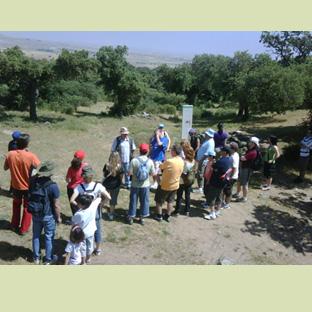 Excursión guiada al yacimiento vetón de La Osera (Ávila)