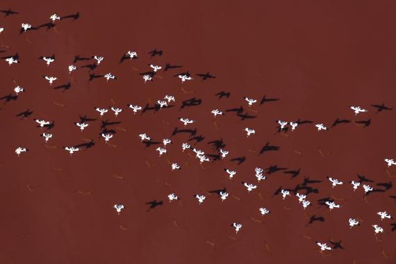 El Museo Nacional de Ciencias Naturales celebra el Día Mundial del Agua con una exposición fotográfica