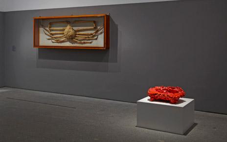 El MNCN colabora en la exposición temporal Rosemarie Trockel: un cosmos del Museo Reina Sofía El MNCN colabora en la exposición temporal Rosemarie Trockel: un cosmos del Museo Reina Sofía