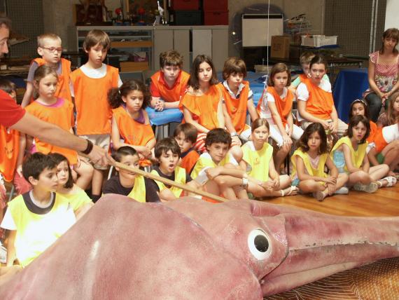 Abierta la inscripción para el Museo de Verano 2012 Abierta la inscripción para el Museo de Verano 2012