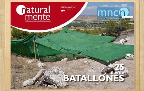 nº7 nº7