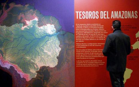Tesoros del Amazonas. Nueva exposición temporal en el Museo Nacional de Ciencias Naturales (CSIC) Tesoros del Amazonas. Nueva exposición temporal en el Museo Nacional de Ciencias Naturales (CSIC)
