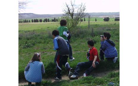 El Museo Nacional de Ciencias Naturales y el Ayuntamiento de Illescas (Toledo) acercan las aves a los escolares