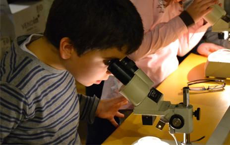 En la noche de los investigadores los niños podrán dormir con los animales del MNCN En la noche de los investigadores los niños podrán dormir con los animales del MNCN