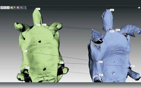 Biodiversidad en 3D Biodiversidad en 3D