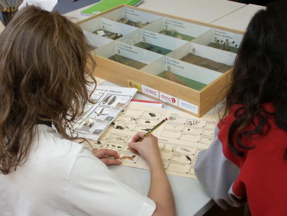 La Semana de la Ciencia se celebra en el MNCN del 9 al 21 de noviembre de 2010