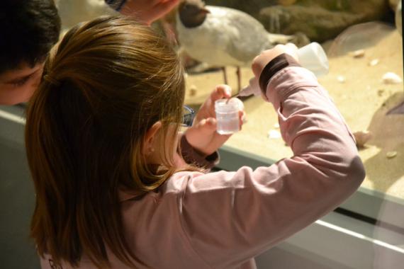 La vista y el oído centrarán las actividades del MNCN en la Semana de la Ciencia y la Tecnología