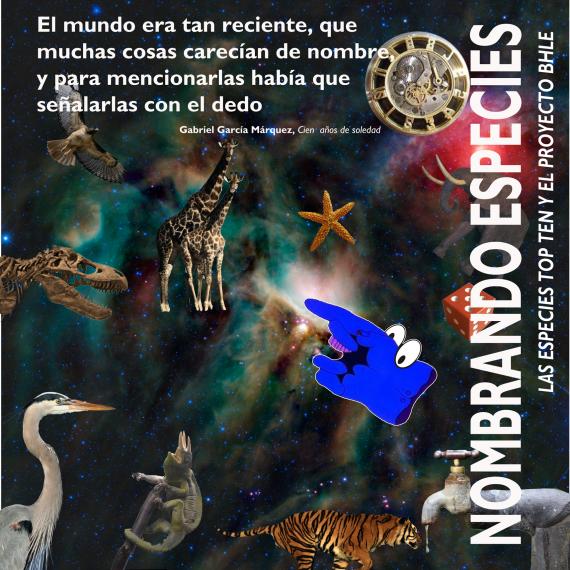 Las 40 especies más impactantes se dan citan en la nueva exposición temporal del MNCN Nombrando Especies: Las Top Ten y el Proyecto BHLE Las 40 especies más impactantes se dan citan en la nueva exposición temporal del MNCN Nombrando Especies: Las Top Ten y el Proyecto BHLE