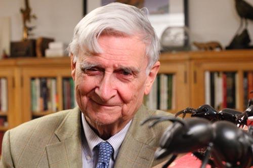 El profesor Edward O. Wilson premio Fundación BBVA imparte un seminario en el Museo Nacional de Ciencias Naturales El profesor Edward O. Wilson premio Fundación BBVA imparte un seminario en el Museo Nacional de Ciencias Naturales