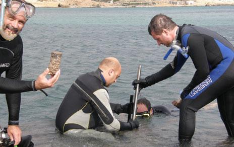 Descubren una especie de molusco que pudo sobrevivir al periodo de desecación del Mediterráneo Descubren una especie de molusco que pudo sobrevivir al periodo de desecación del Mediterráneo