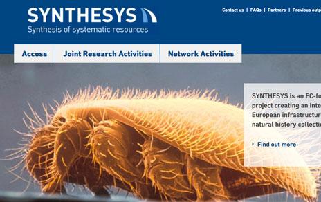 El Real Jardín Botánico y el Museo Nacional de Ciencias Naturales abren la convocatoria de becas SYNTHESYS 2015 El Real Jardín Botánico y el Museo Nacional de Ciencias Naturales abren la convocatoria de becas SYNTHESYS 2015