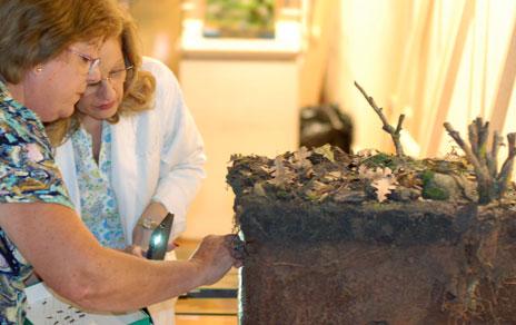 El MNCN inaugura El suelo. Un paseo por la vida una exposición que invita a descubrir el valor de este recurso natural El MNCN inaugura El suelo. Un paseo por la vida una exposición que invita a descubrir el valor de este recurso natural
