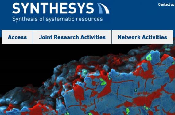 Se abre la convocatoria de becas del proyecto europeo SYNTHESYS 2016