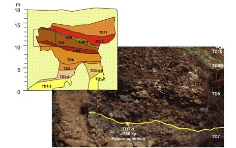 Detallan cómo los cambios climáticos afectaron a la evolución de la fauna del Pleistoceno europeo