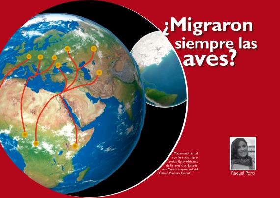 ¿Migraron siempre las aves?