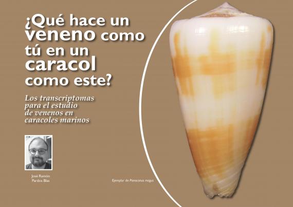 ¿Qué hace un veneno como tú en un caracol como este?