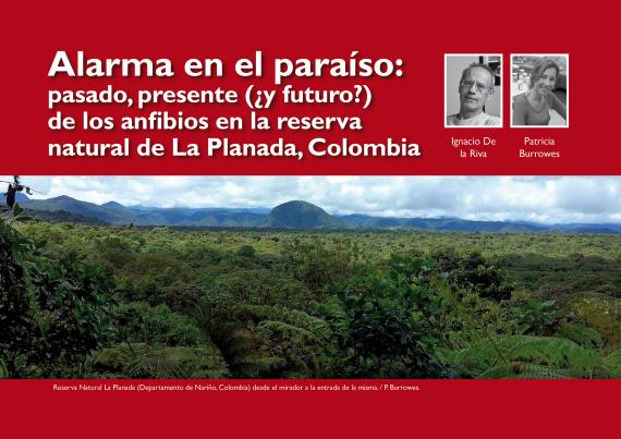 Anfibios de Colombia
