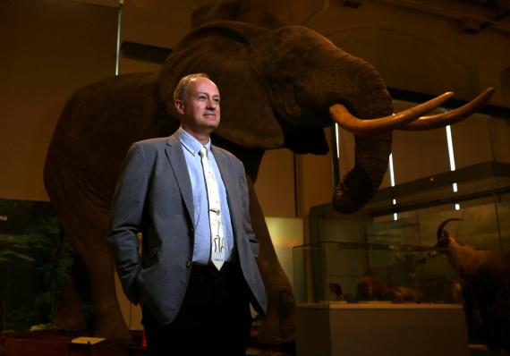 Santiago Merino junto al elefante africano 