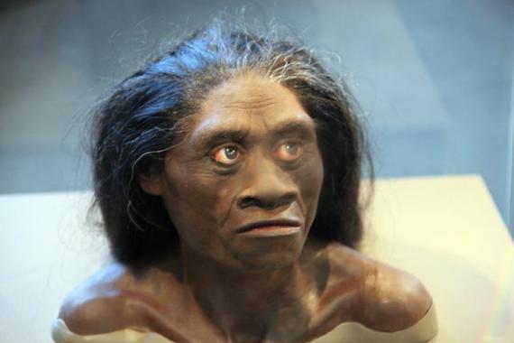 An artist’s interpretation of how H. floresiensis looked in life. Tim Evanson/Flickr, CC BY-SA