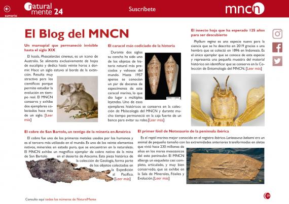blog nm24