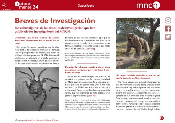 Breves nm24