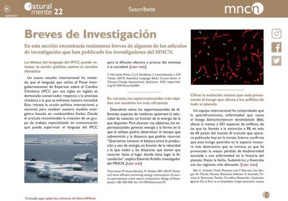 Breves nm22