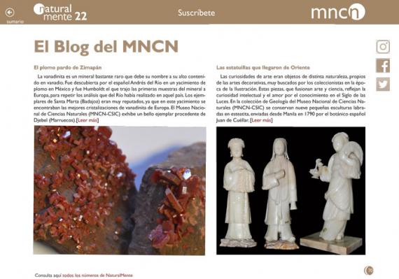 blog nm22