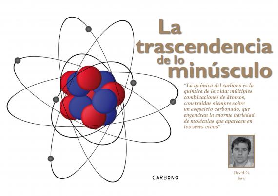 La transcendencia de lo pequeño 