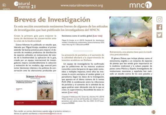 Breves nm21