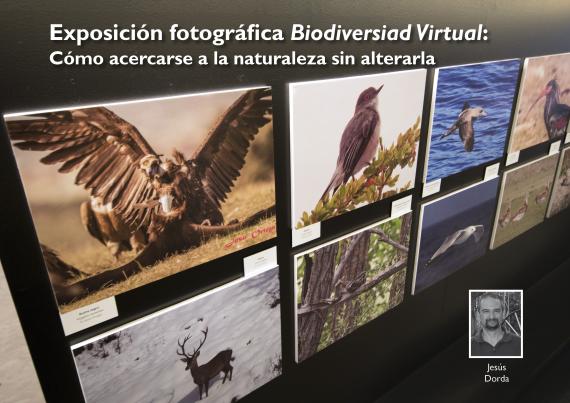 Biodiversidad virtual 